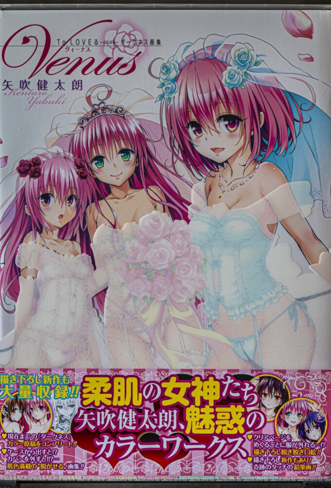 Yabuki Kentarou - Venus (Shueisha, 2012) - recenzja artbooka - rascal.pl