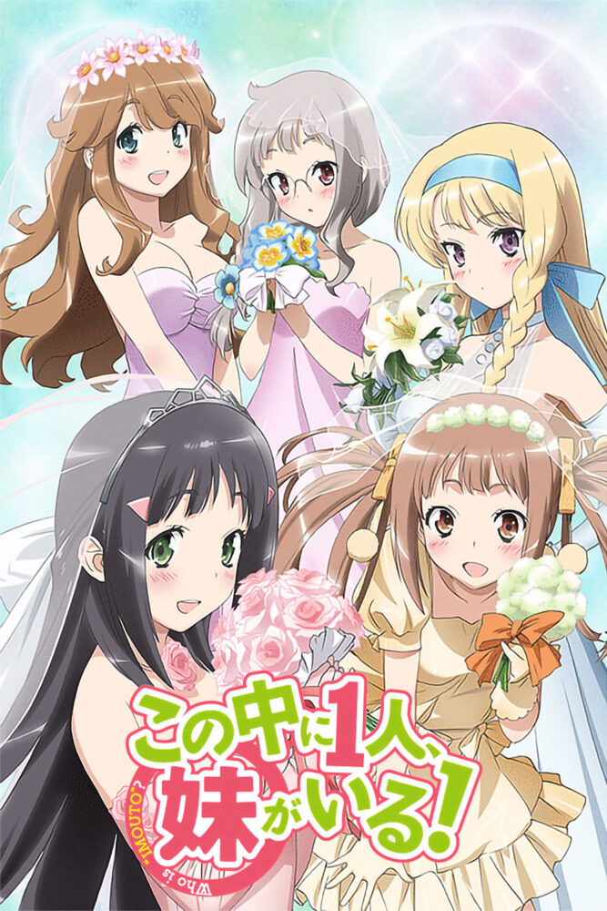 Kono Naka ni Hitori, Imouto ga Iru! (2012) - recenzja anime - rascal.pl