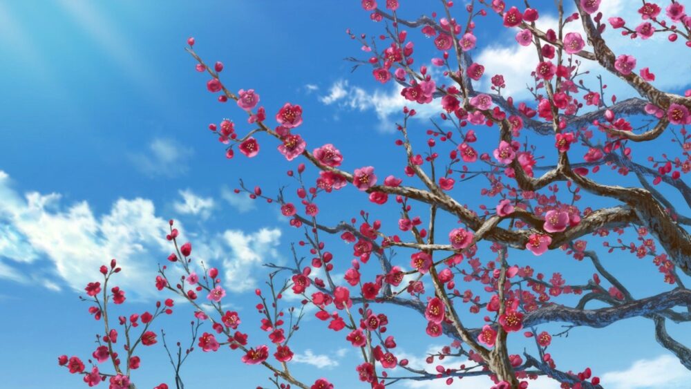 Kusuriya no Hitorigoto (2023+) - recenzja anime - rascal.pl