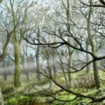 Mushishi_Zoku_Shou_33